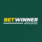 bet winner партнерская программа